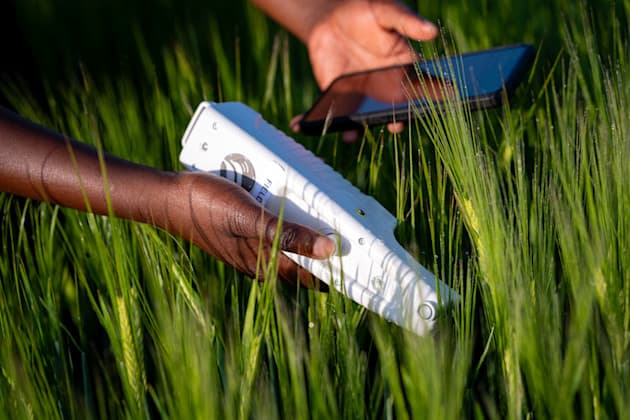 fieldwork29 full res