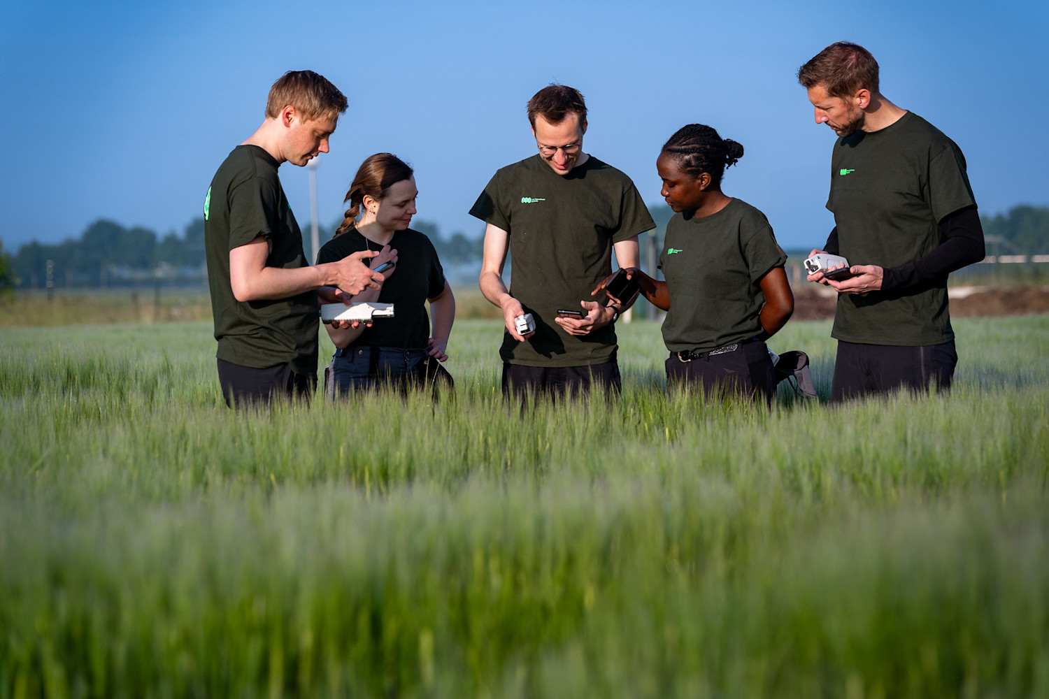 Collaborative fieldwork